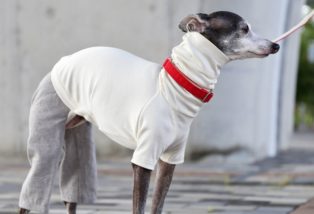 Menasa-canvas (solid)