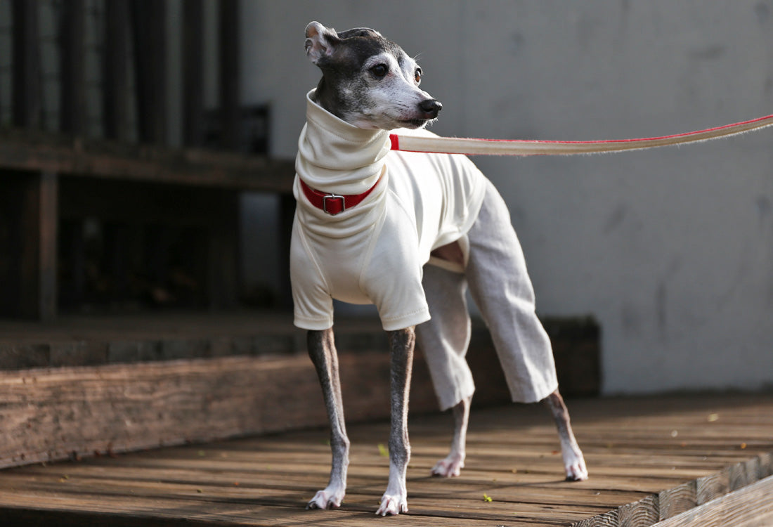 Menasa-canvas (solid)