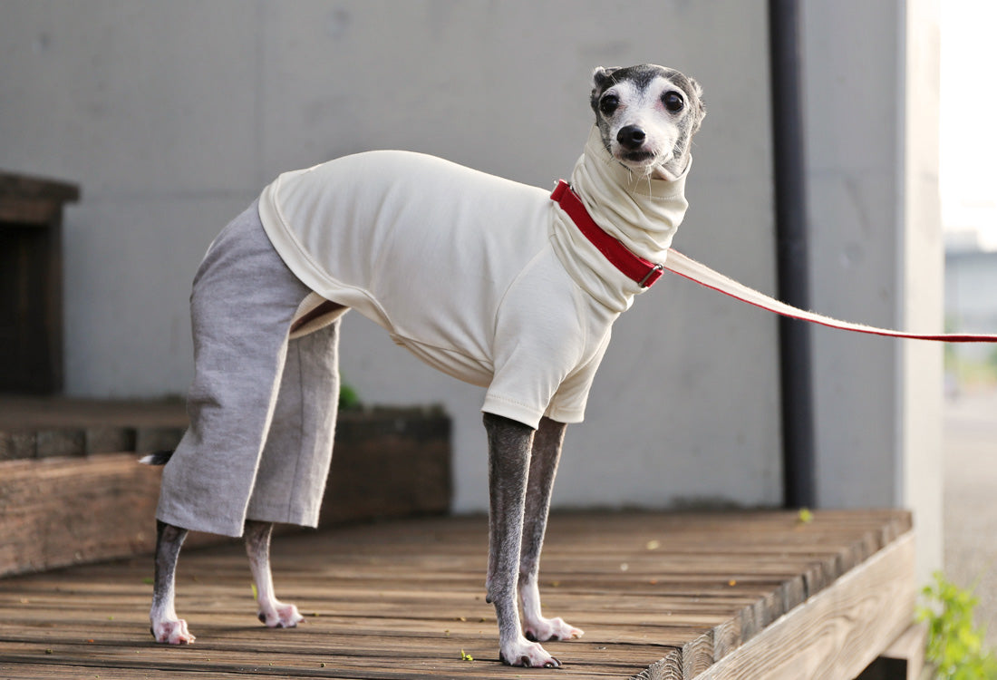 Menasa-canvas (solid)