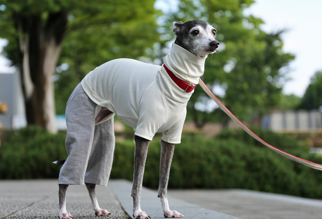 Menasa-canvas (solid)