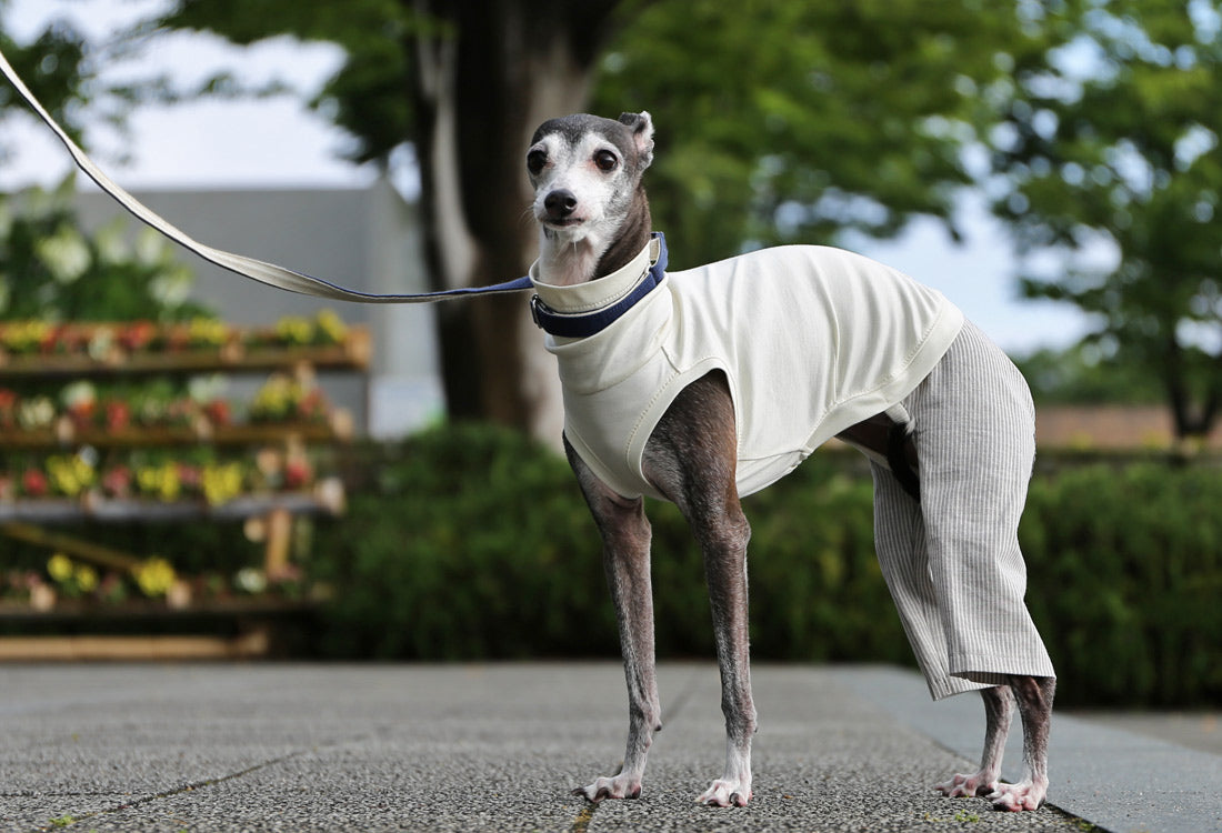 Menasa-canvas (striped)