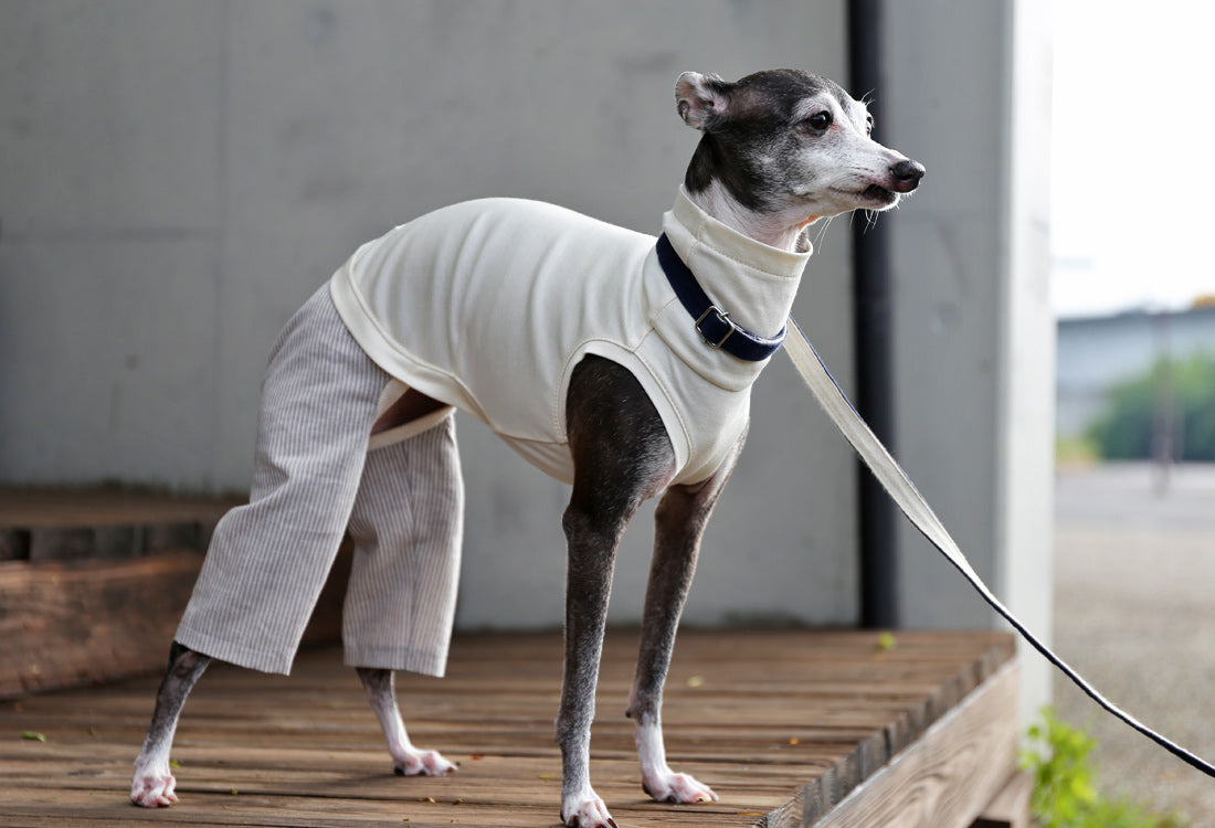 Menasa-canvas (striped)