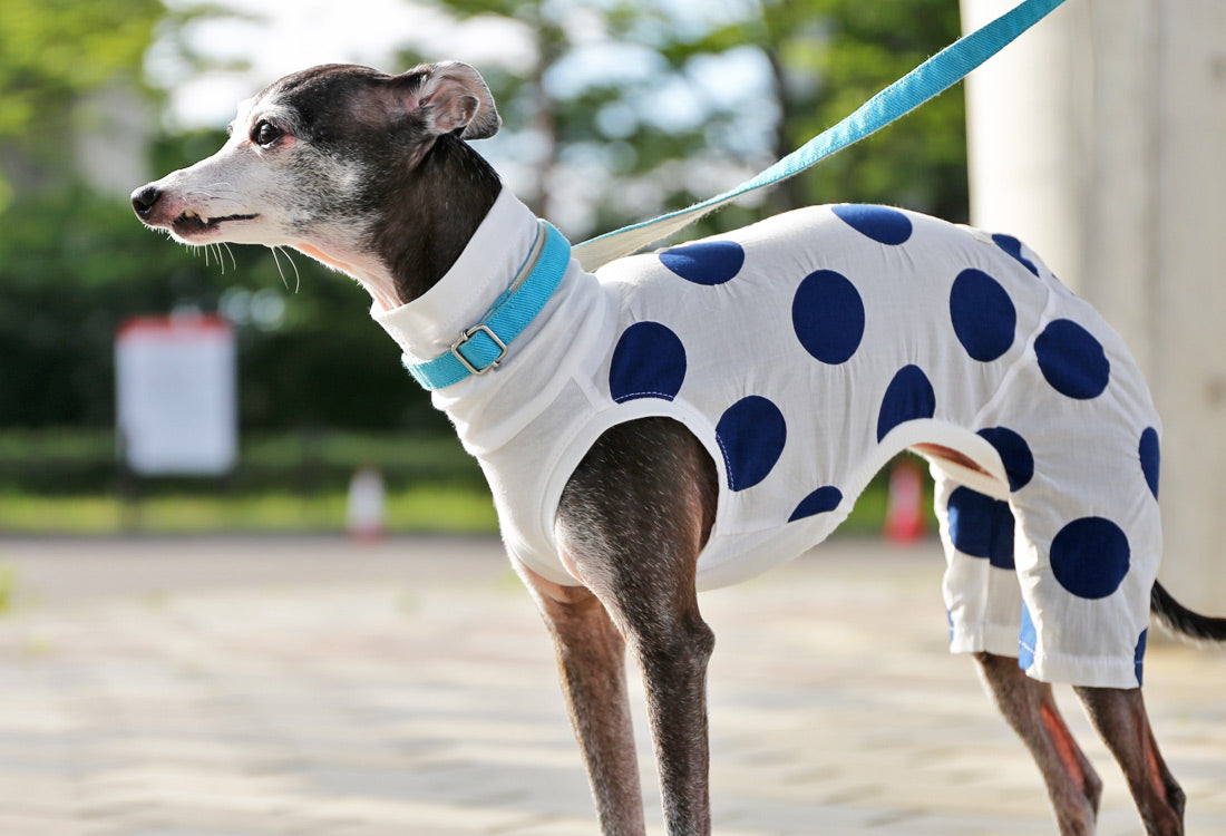 Mizutama (white) - Italian Greyhound Clothes