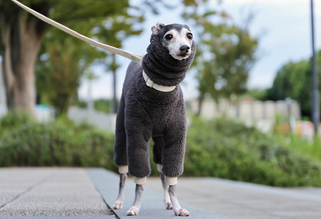 FUWA-Boa (rose grey) - Italian Greyhound Clothes