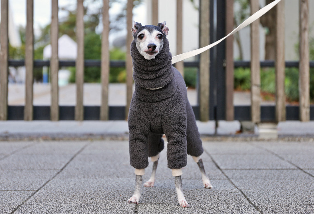 FUWA-Boa (rose grey) - Italian Greyhound Clothes