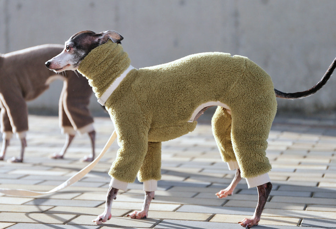 FUWA-Boa (uguisu) - Italian Greyhound Clothes