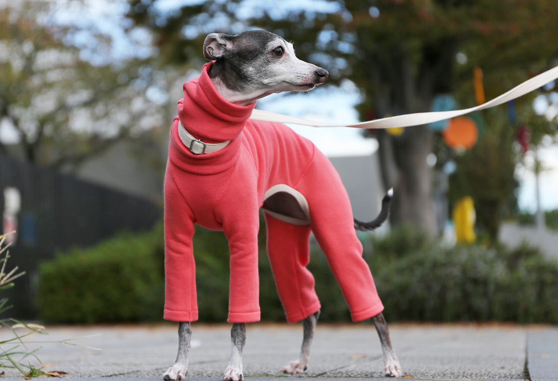 French terry knit (coral pink) - Italian Greyhound Clothes