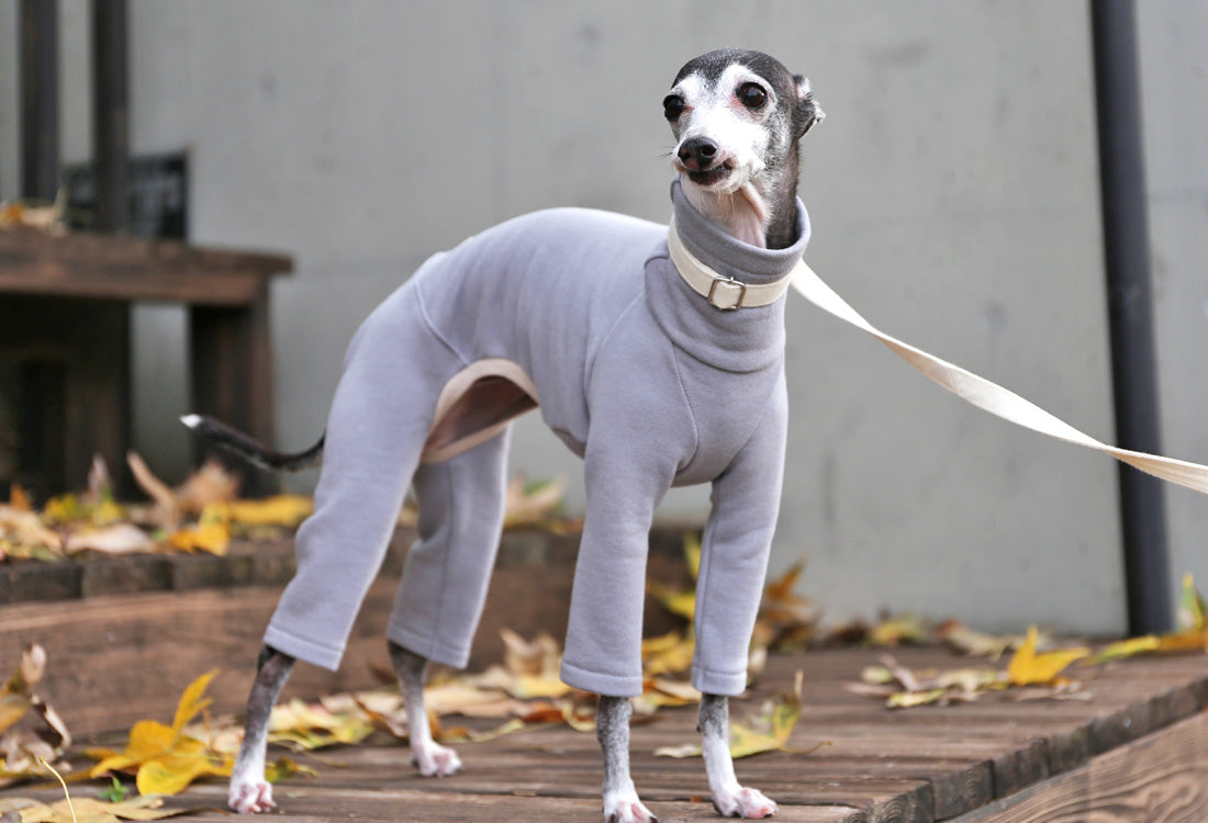 French terry knit (mist gray) - Italian Greyhound Clothes