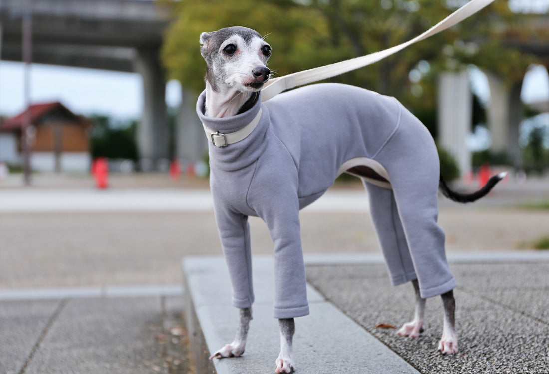 French terry knit (mist gray) - Italian Greyhound Clothes