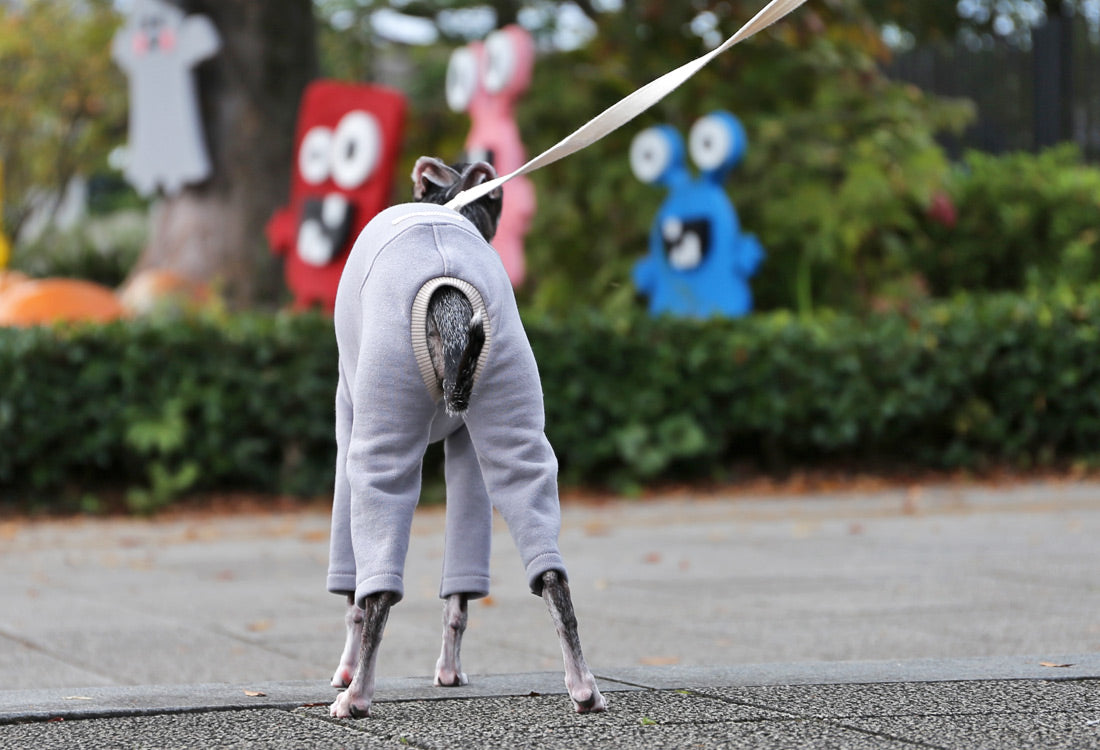 French terry knit (mist gray) - Italian Greyhound Clothes