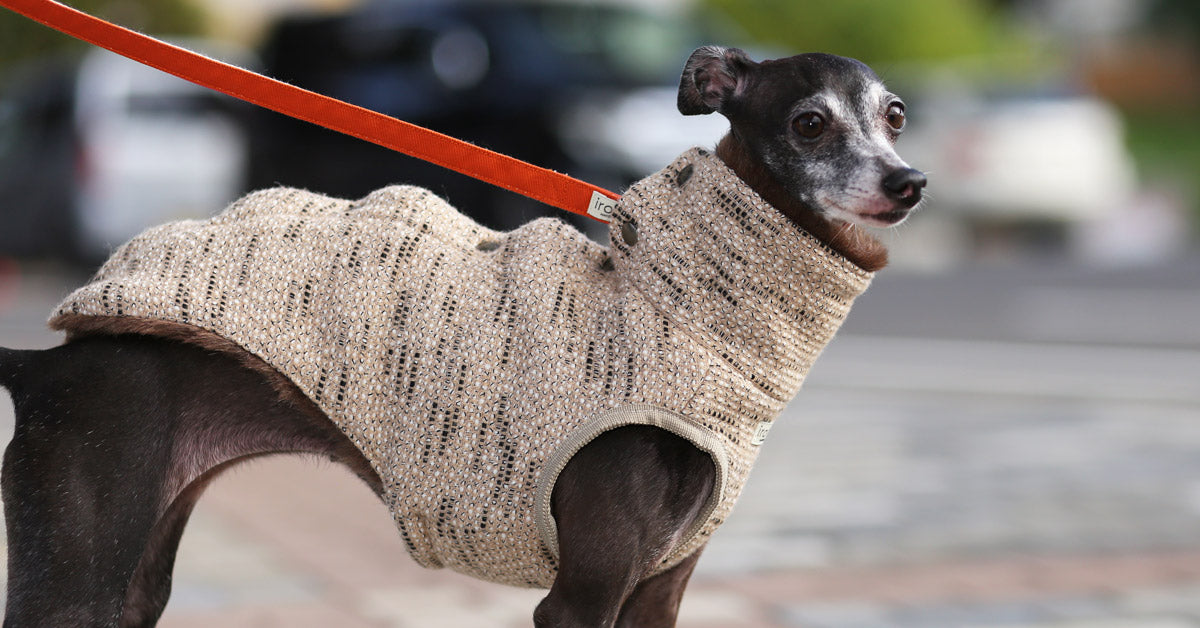 イタグレ　gomafish ゴマフィッシュ　背開きツイードベスト All prodacts – gomafish