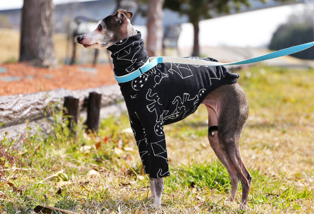 Elephant Balancing on Ball (black) - Italian Greyhound Clothes