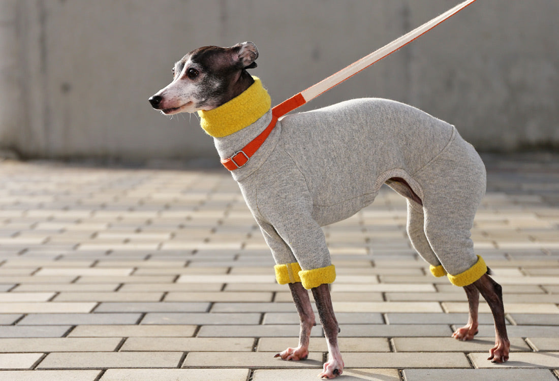 Fluffy soft brushed knit (yellow) - Italian Greyhound Clothes