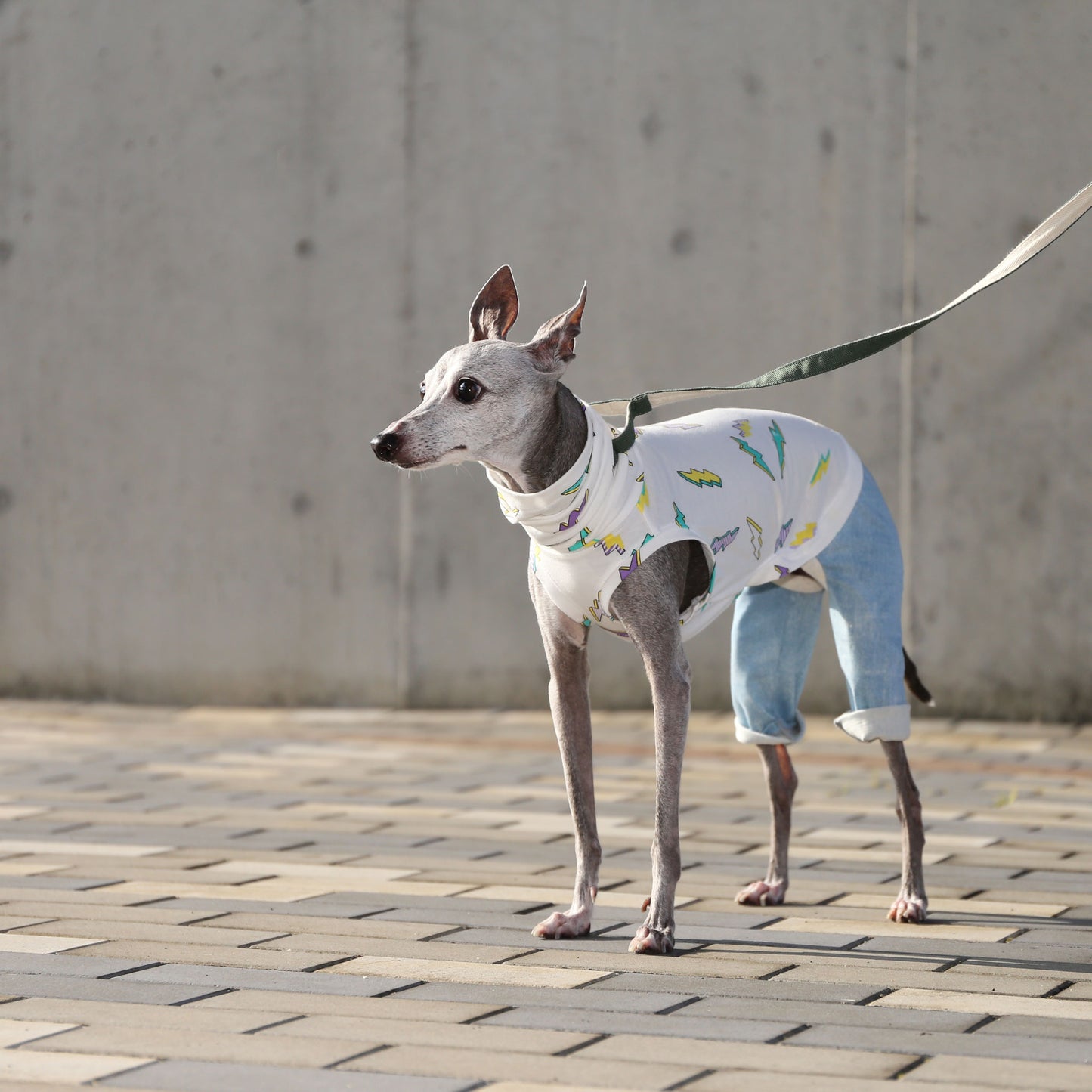 INAZUMA*organic cotton (purple)