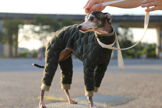 Introducing Our New Fall and Winter Collection for Italian Greyhounds!