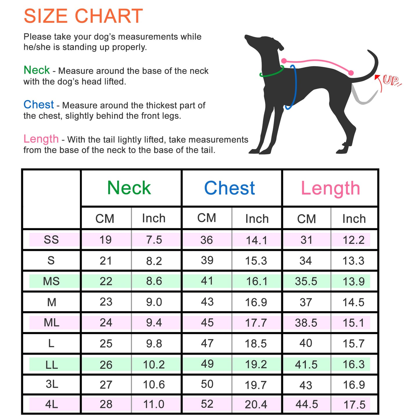 Numbers (orange) - Italian Greyhound Clothes