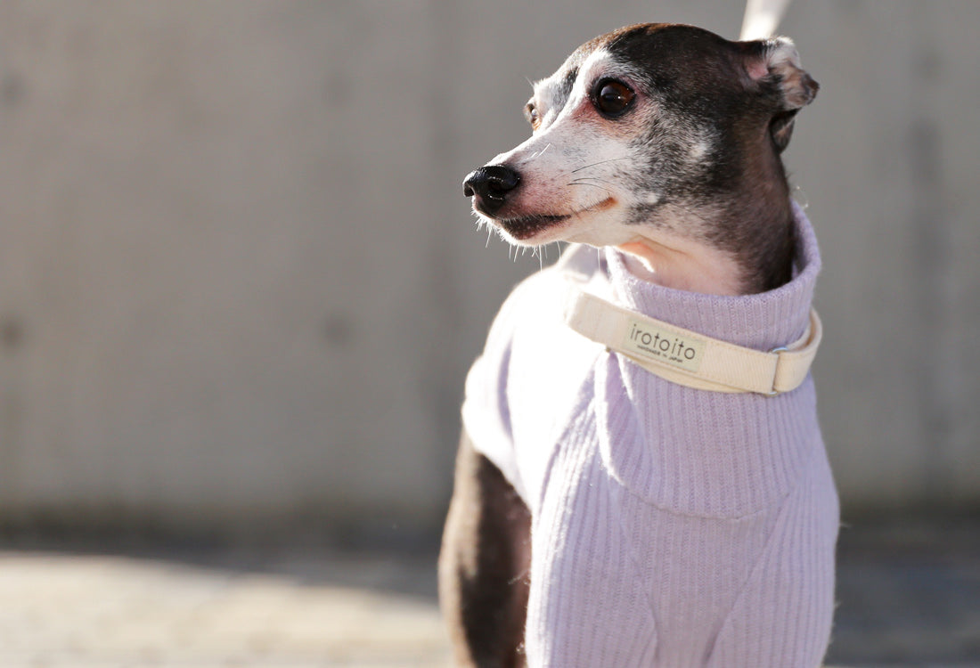 Rib knit (lilac) - Italian Greyhound Clothes