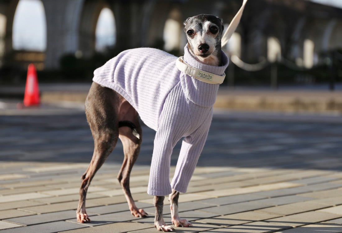 Rib knit (lilac) - Italian Greyhound Clothes