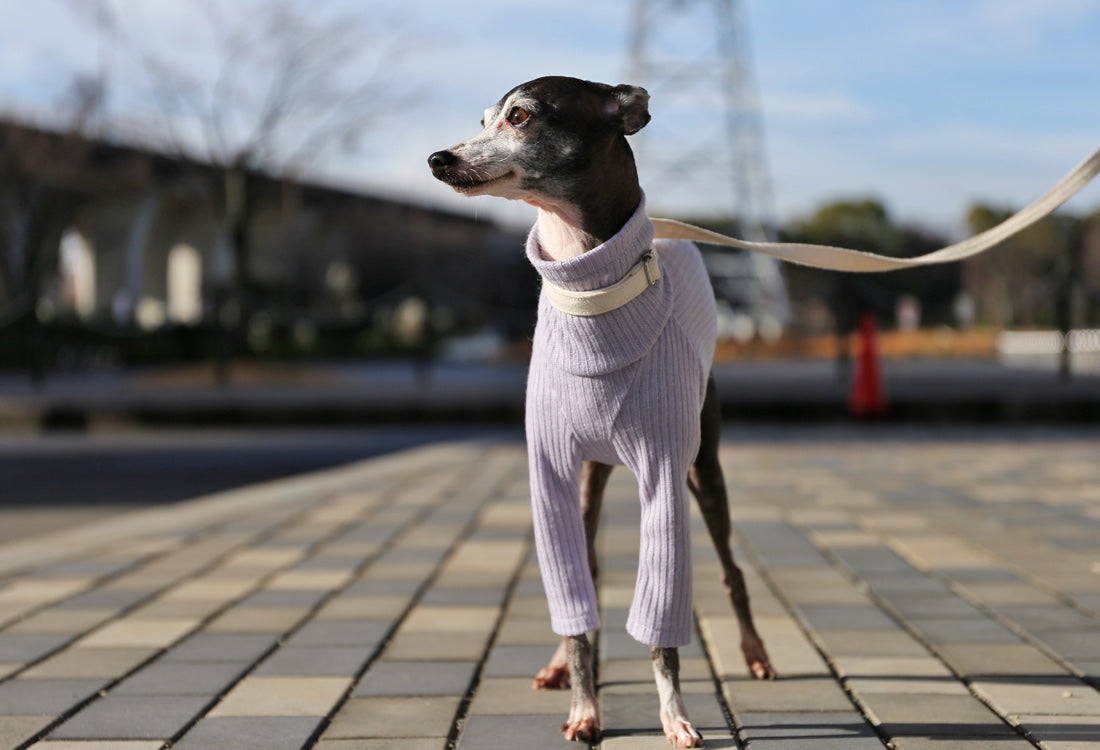 Rib knit (lilac) - Italian Greyhound Clothes