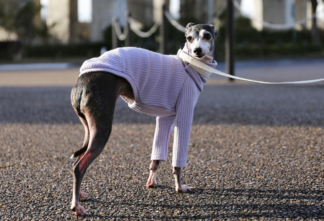 Rib knit (lilac) - Italian Greyhound Clothes