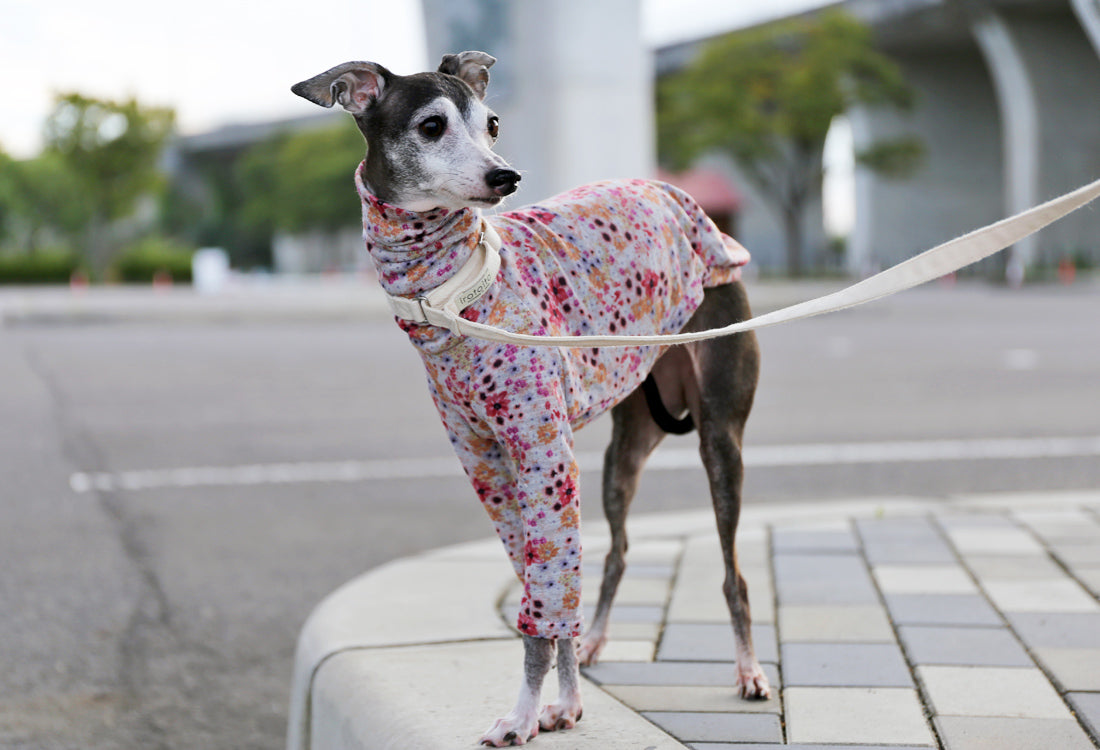 Lyocell interlock knit  (pink)- Italian Greyhound Clothes