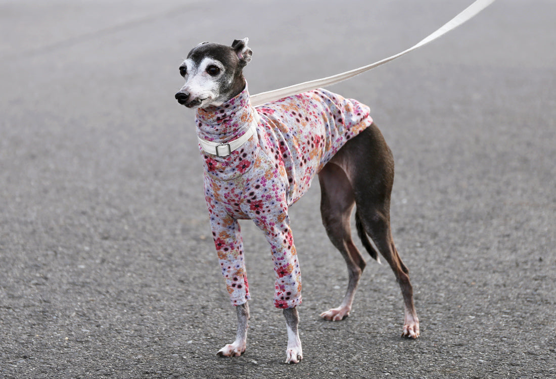 Lyocell interlock knit  (pink)- Italian Greyhound Clothes