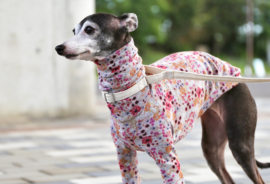 Lyocell interlock knit  (pink)- Italian Greyhound Clothes