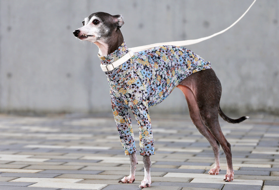 Lyocell interlock knit  (blue)- Italian Greyhound Clothes