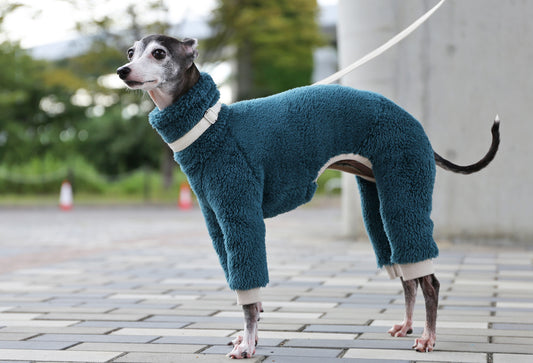 FUWA-Boa (petrol blue) - Italian Greyhound Clothes