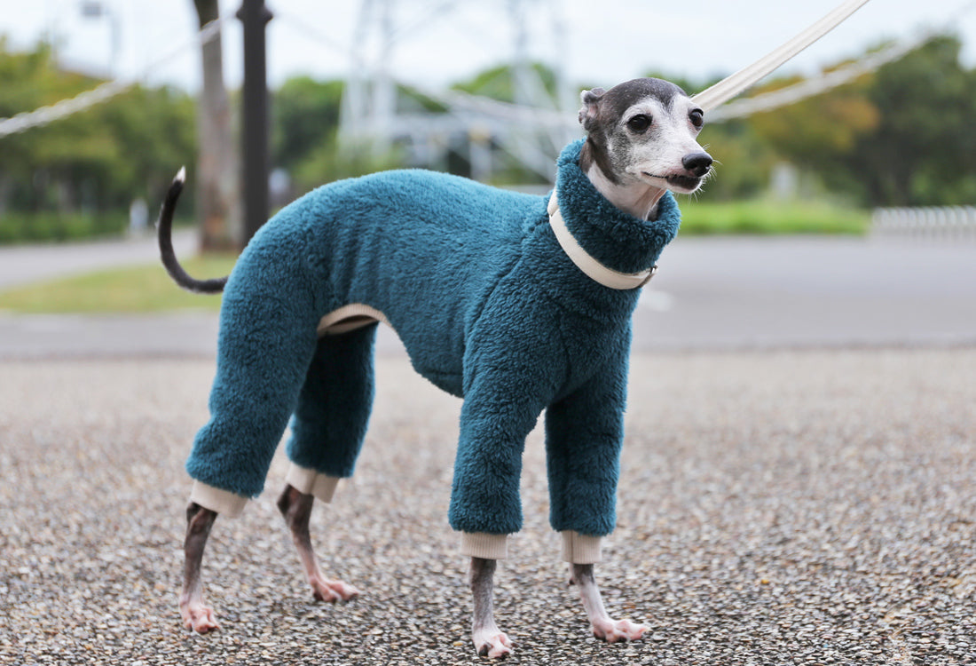 FUWA-Boa (petrol blue) - Italian Greyhound Clothes