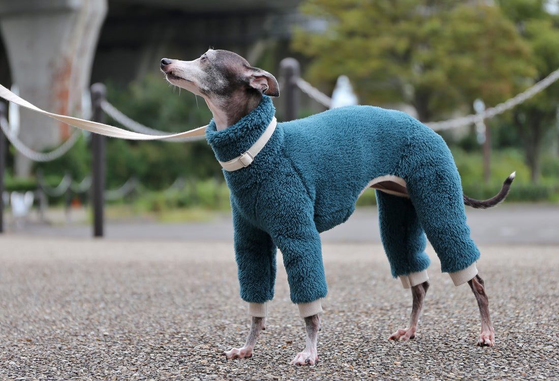 FUWA-Boa (petrol blue) - Italian Greyhound Clothes