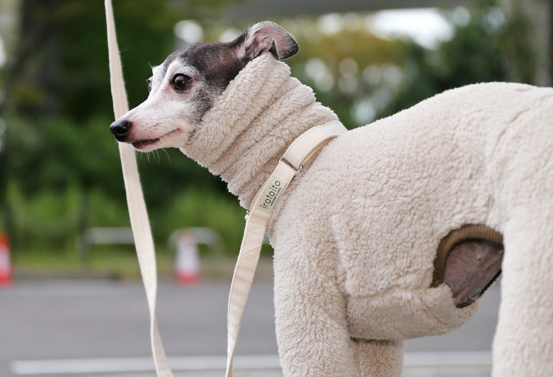 FUWA-Boa (almond white) - Italian Greyhound Clothes