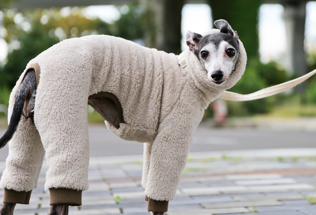 FUWA-Boa (almond white) - Italian Greyhound Clothes