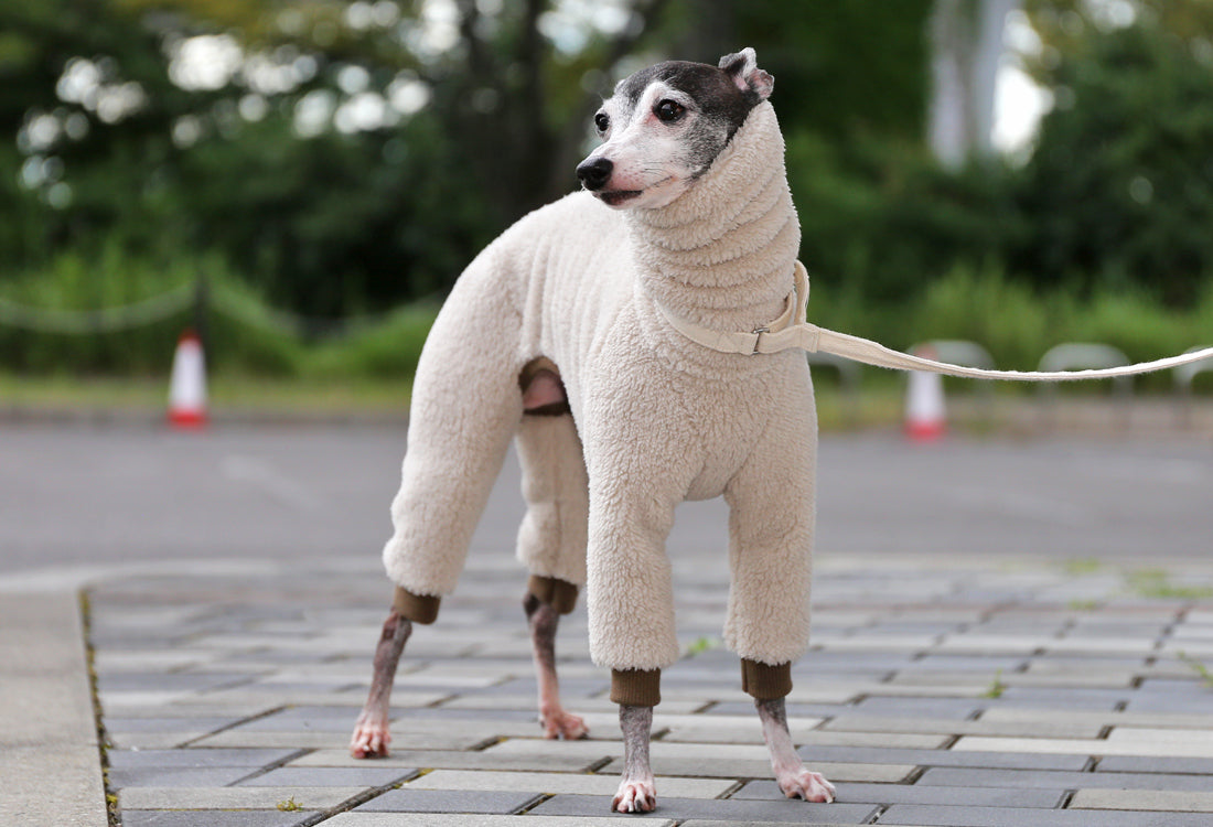 FUWA-Boa (almond white) - Italian Greyhound Clothes