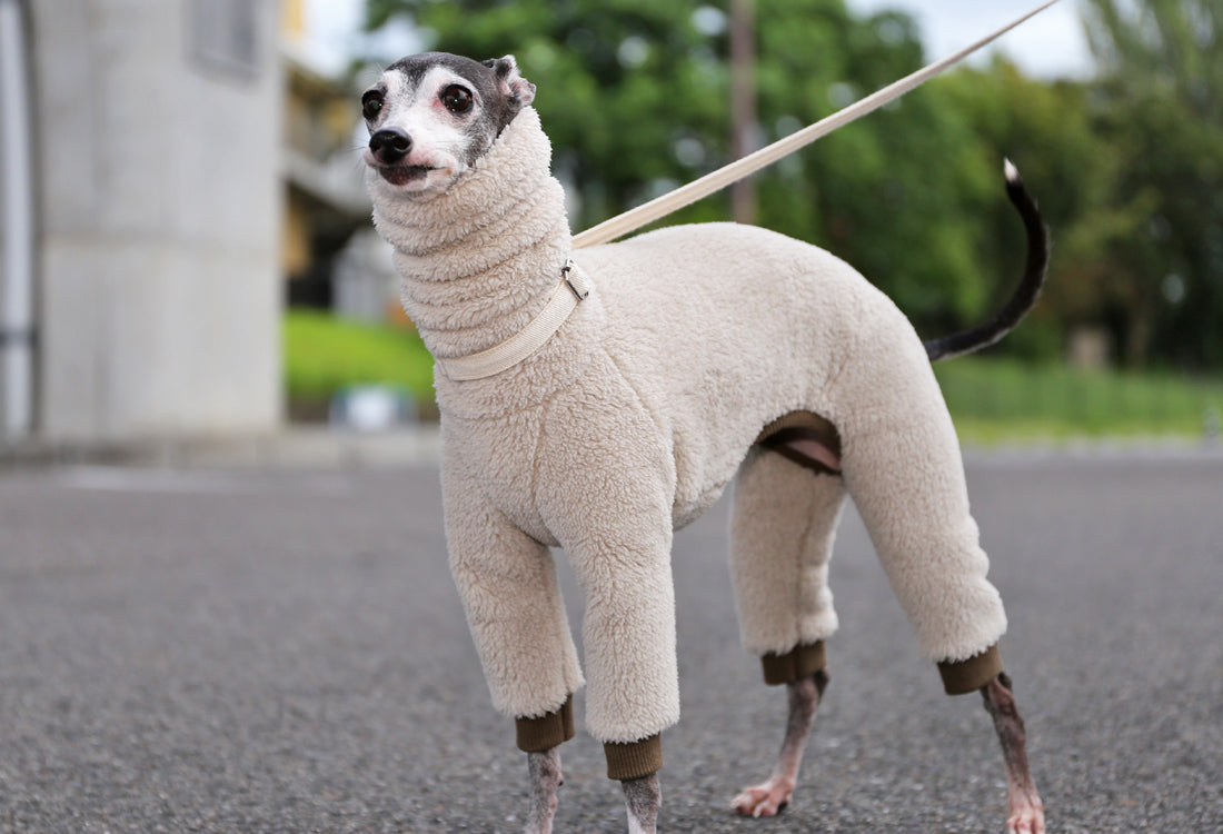 FUWA-Boa (almond white) - Italian Greyhound Clothes