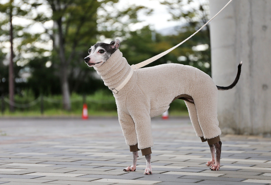 FUWA-Boa (almond white) - Italian Greyhound Clothes