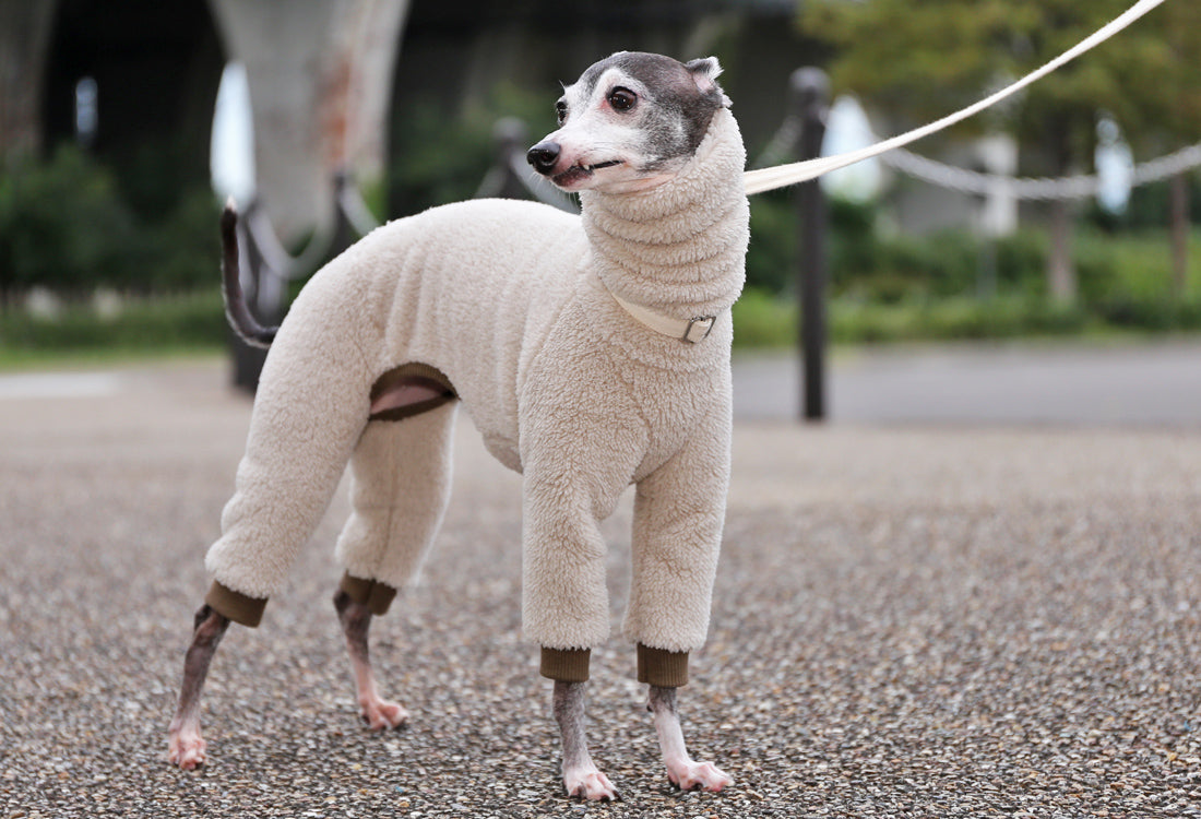 FUWA-Boa (almond white) - Italian Greyhound Clothes