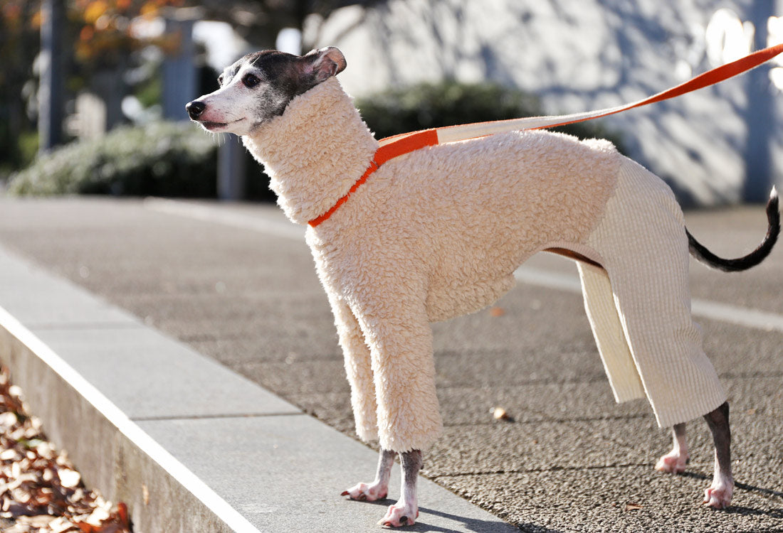 Sherpa Fleece & Corduroy Outfit (milk white) - Italian Greyhound Clothes