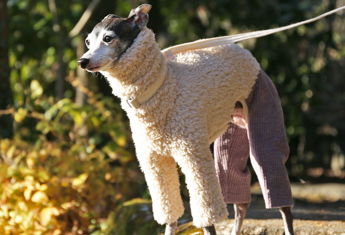 Sherpa Fleece & Corduroy Outfit (lilac) - Italian Greyhound Clothes