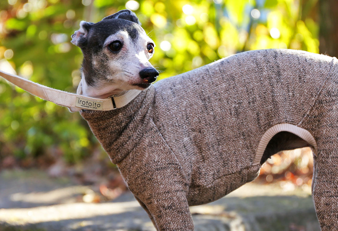 Rustic Knit Romper - Italian Greyhound Clothes