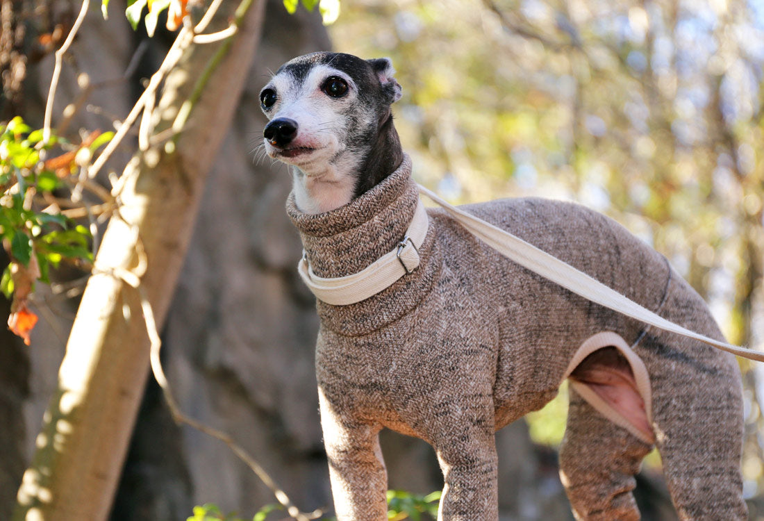 Rustic Knit Romper - Italian Greyhound Clothes