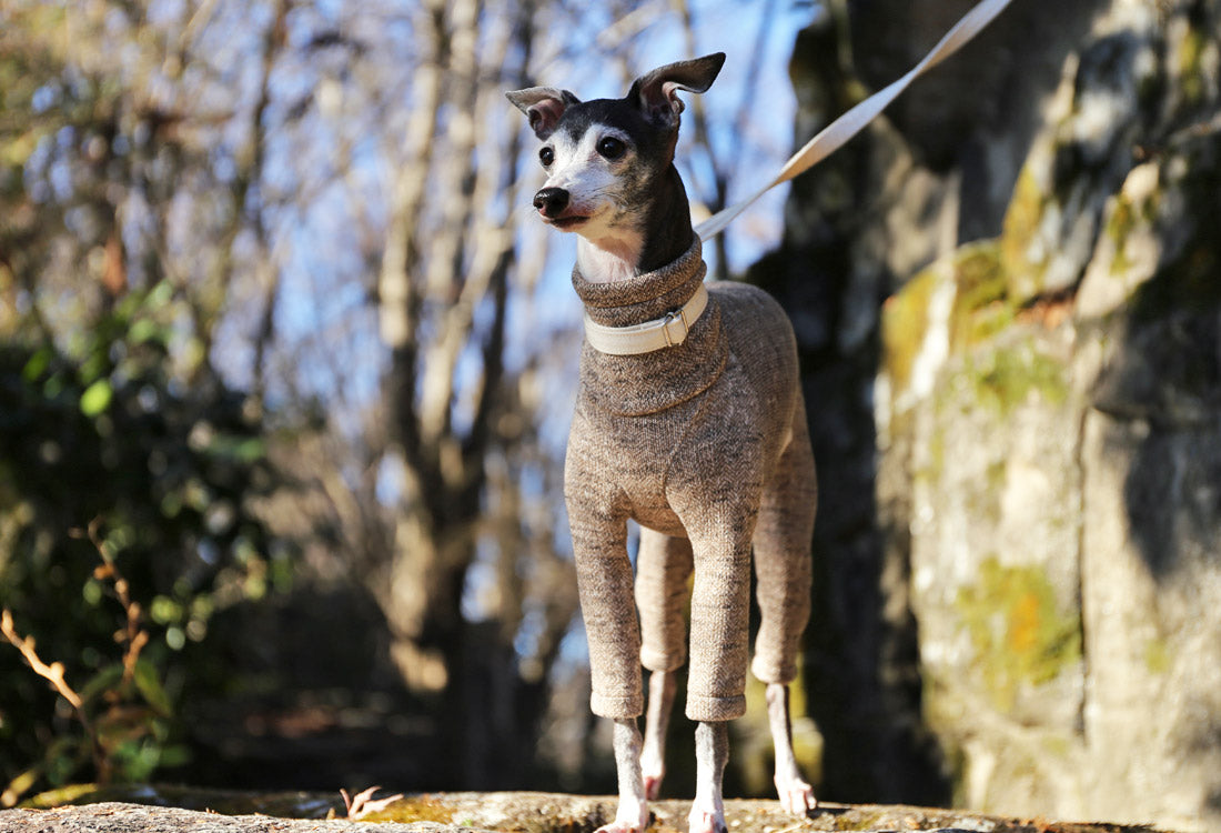 Rustic Knit Romper - Italian Greyhound Clothes