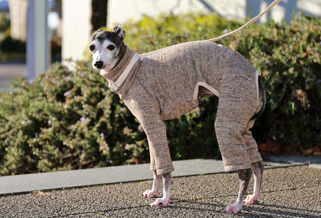 Rustic Knit Romper - Italian Greyhound Clothes