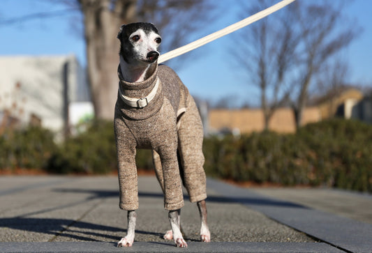 Rustic Knit Romper - Italian Greyhound Clothes