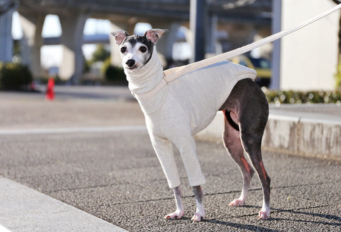 Sweatshirt Tee - Italian Greyhound Clothes