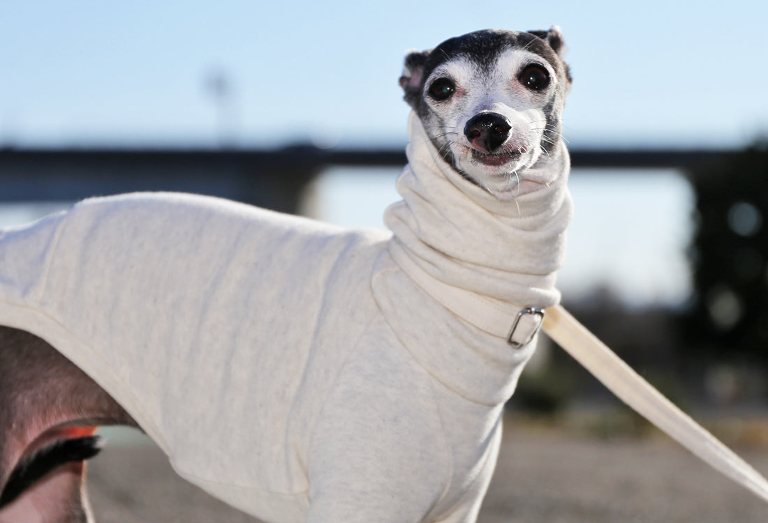 Sweatshirt Tee - Italian Greyhound Clothes