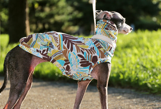 Botanical pattern (horizon blue) - Italian Greyhound Clothes