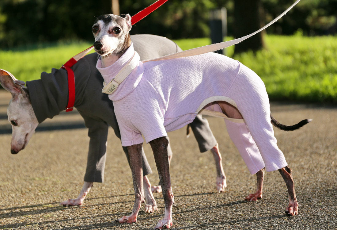 USA-grown organic cotton (pale lilac) - Italian Greyhound Clothes