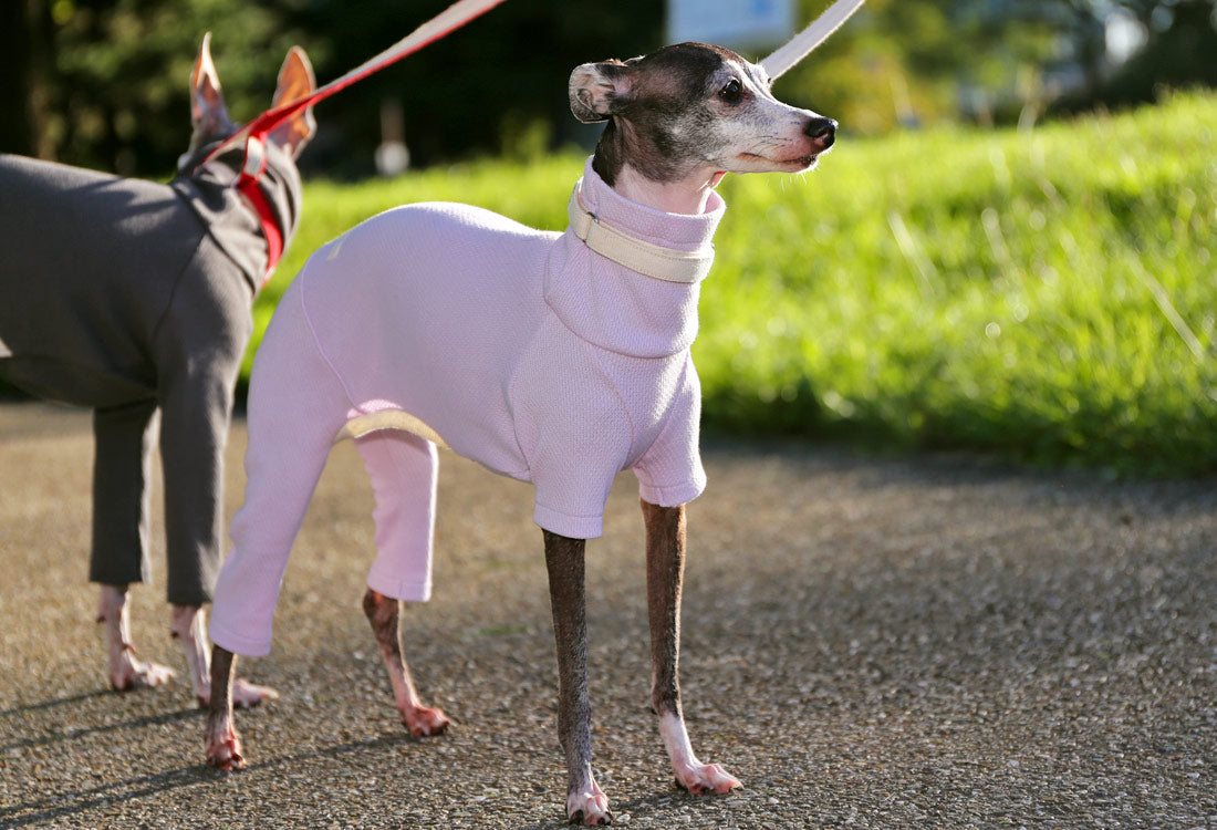 USA-grown organic cotton (pale lilac) - Italian Greyhound Clothes