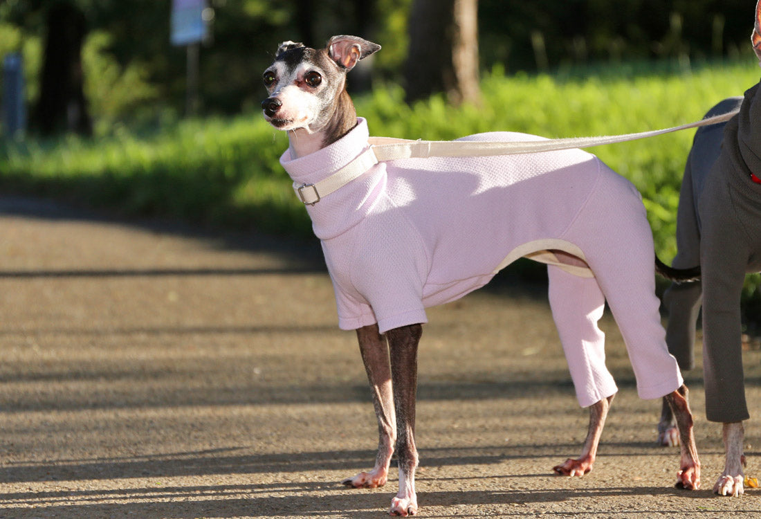 USA-grown organic cotton (pale lilac) - Italian Greyhound Clothes